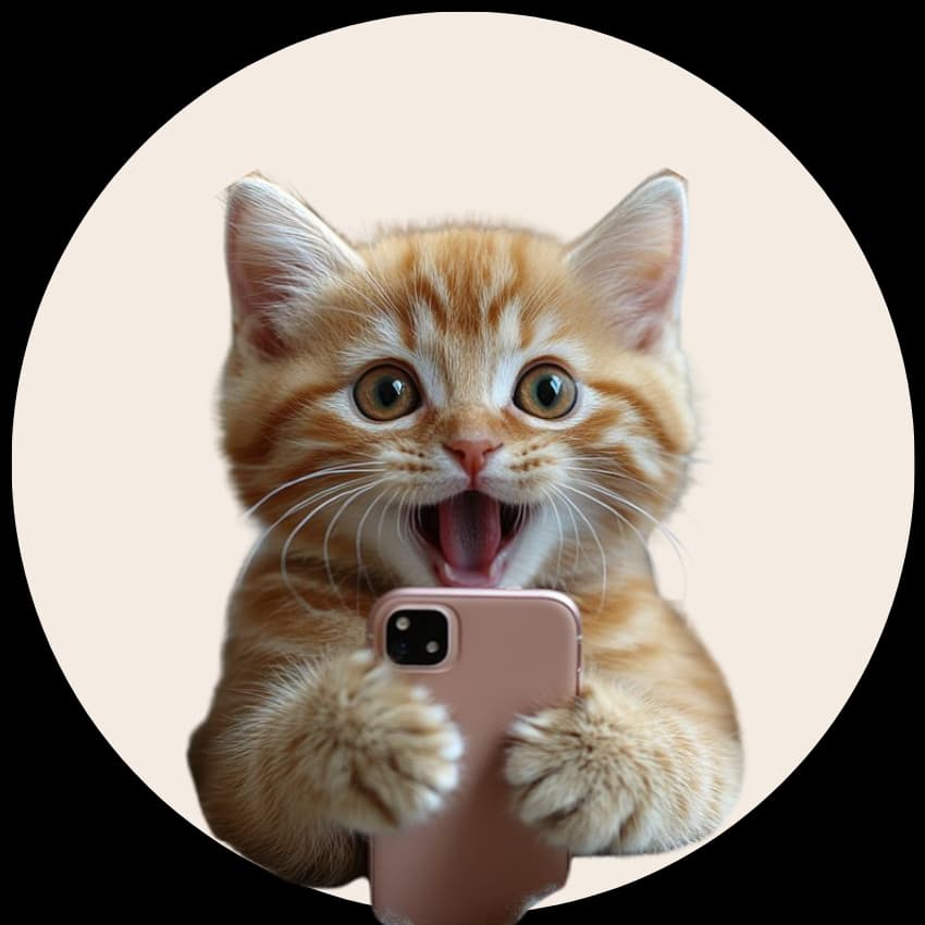 Cat image
