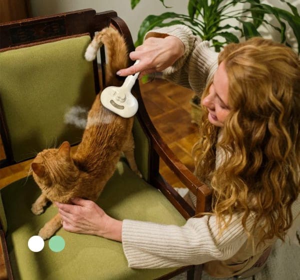 Woman grooming her indoor cat with the Cheeky Bobby 3-in-1 Steam Grooming Brush showing gentle steam
