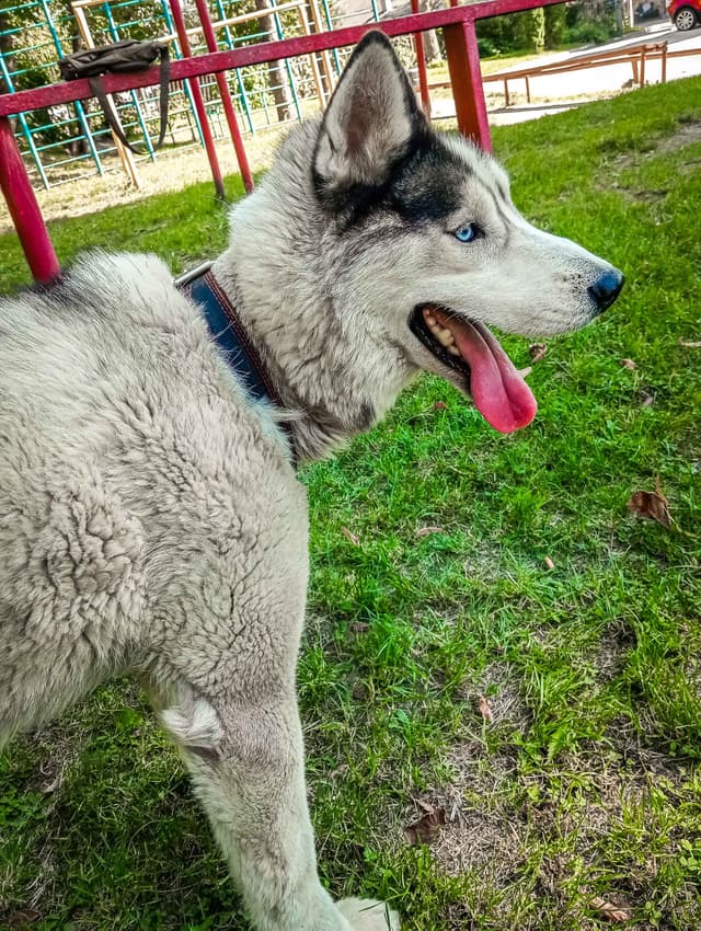 Image float right 300 400