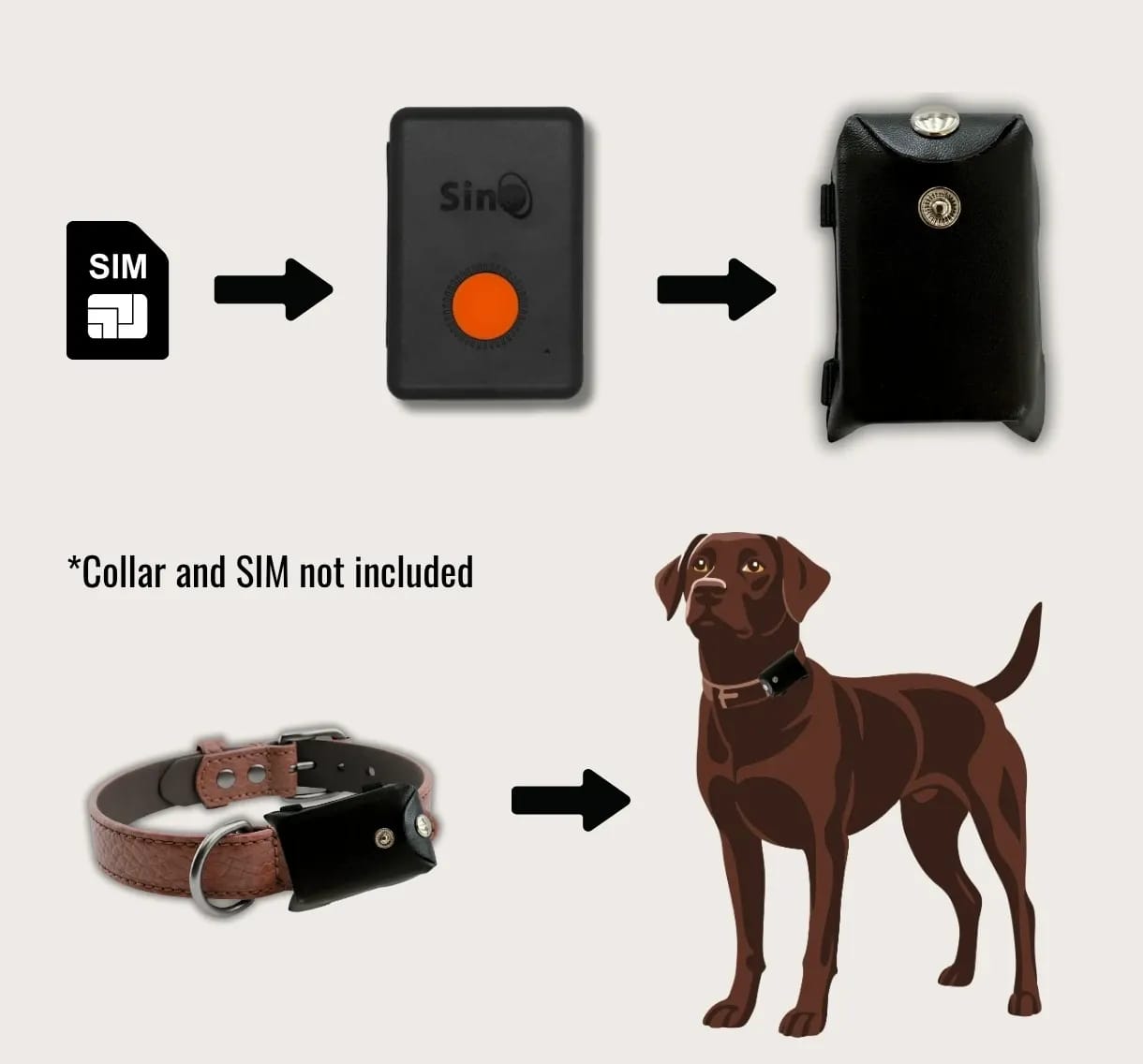 Step by step how to set up the Cheeky Bobby 4G GPS pet tracker on your dog’s collar