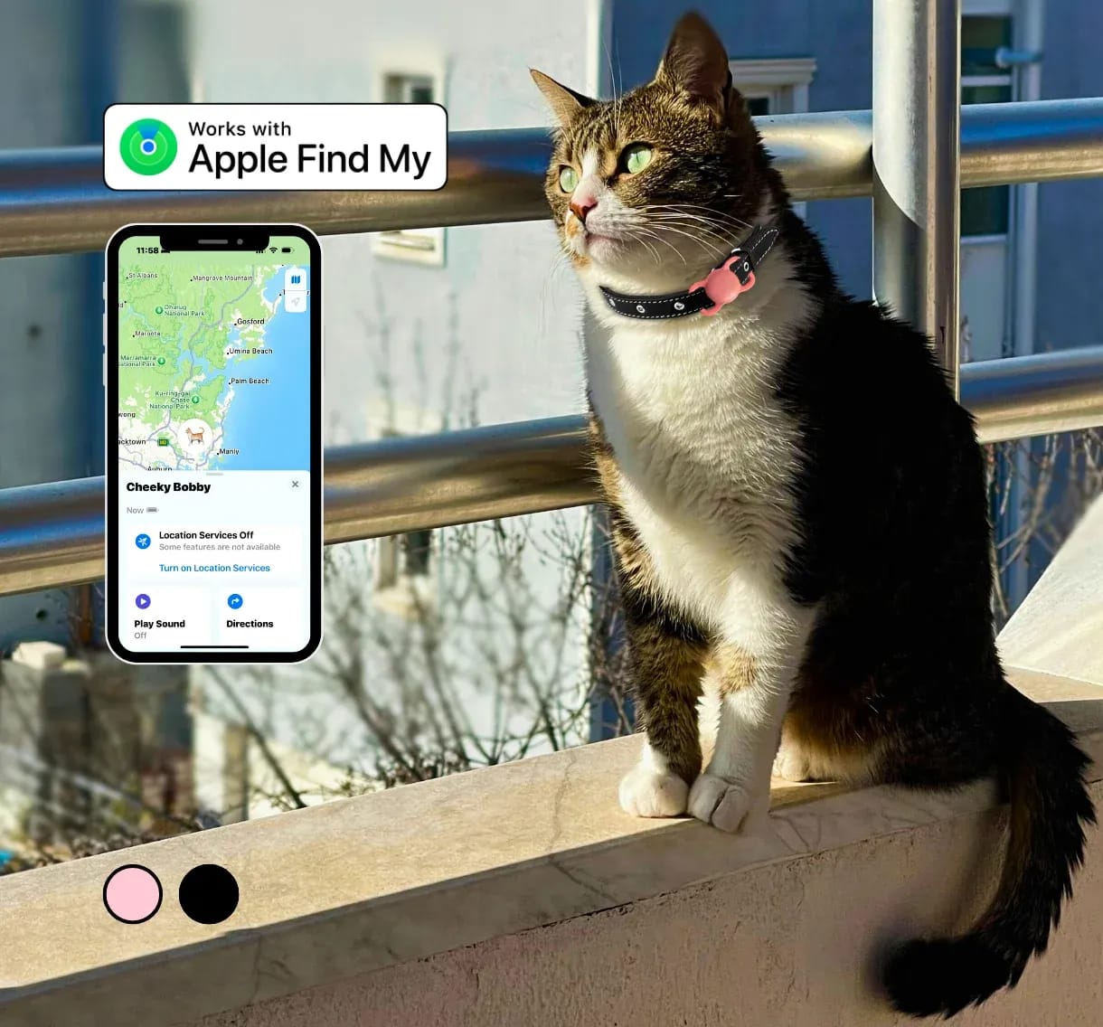 Cat wearing a collar with the Mini Smart Tag Pet Tracker next to an iPhone showing the pet’s location in the Apple Find My app.