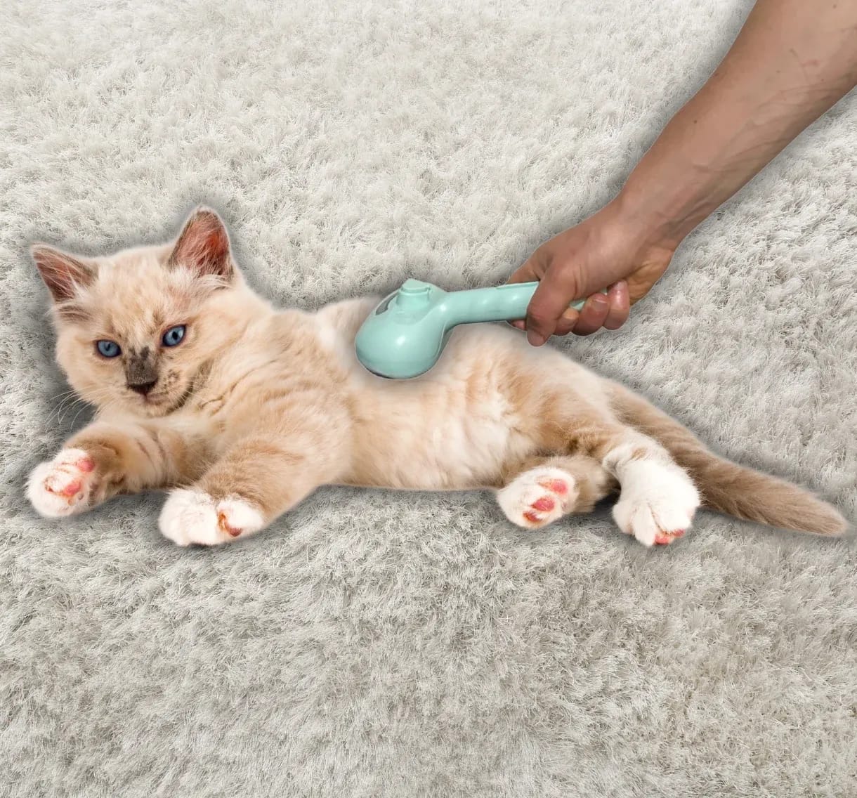 Green Cheeky Bobby 3-in-1 Steam Grooming Brush massaging a relaxed kitten on a soft rug