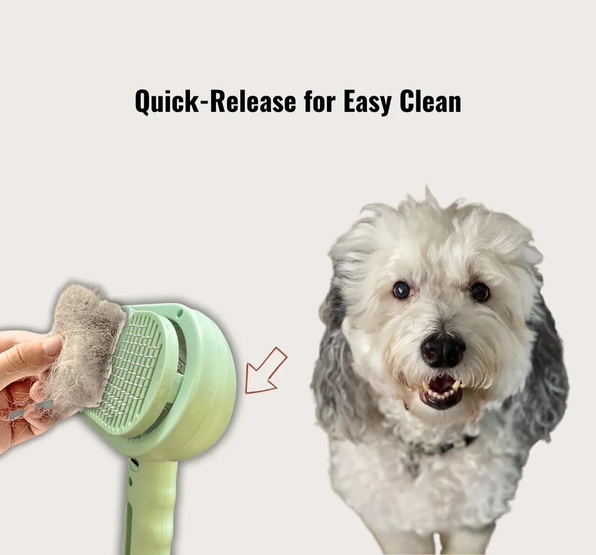 Green Cheeky Bobby 3-in-1 Steam Grooming Brush with quick-release self-cleaning feature for easy hair removal